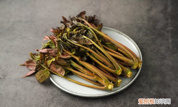 野香椿可以吃