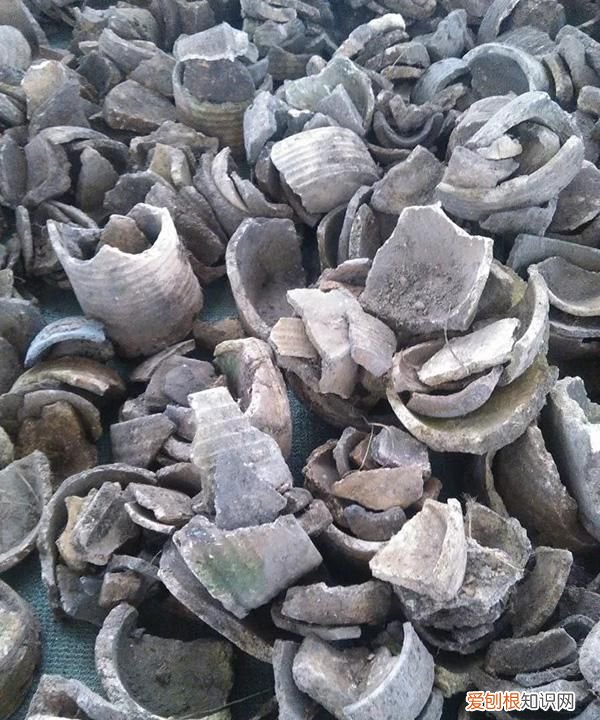 汝窑瓷哪个窑口最好 中国瓷器汝窑在什么地方