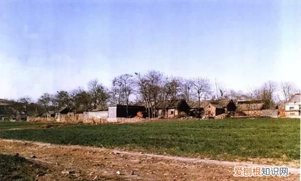 汝窑瓷哪个窑口最好 中国瓷器汝窑在什么地方