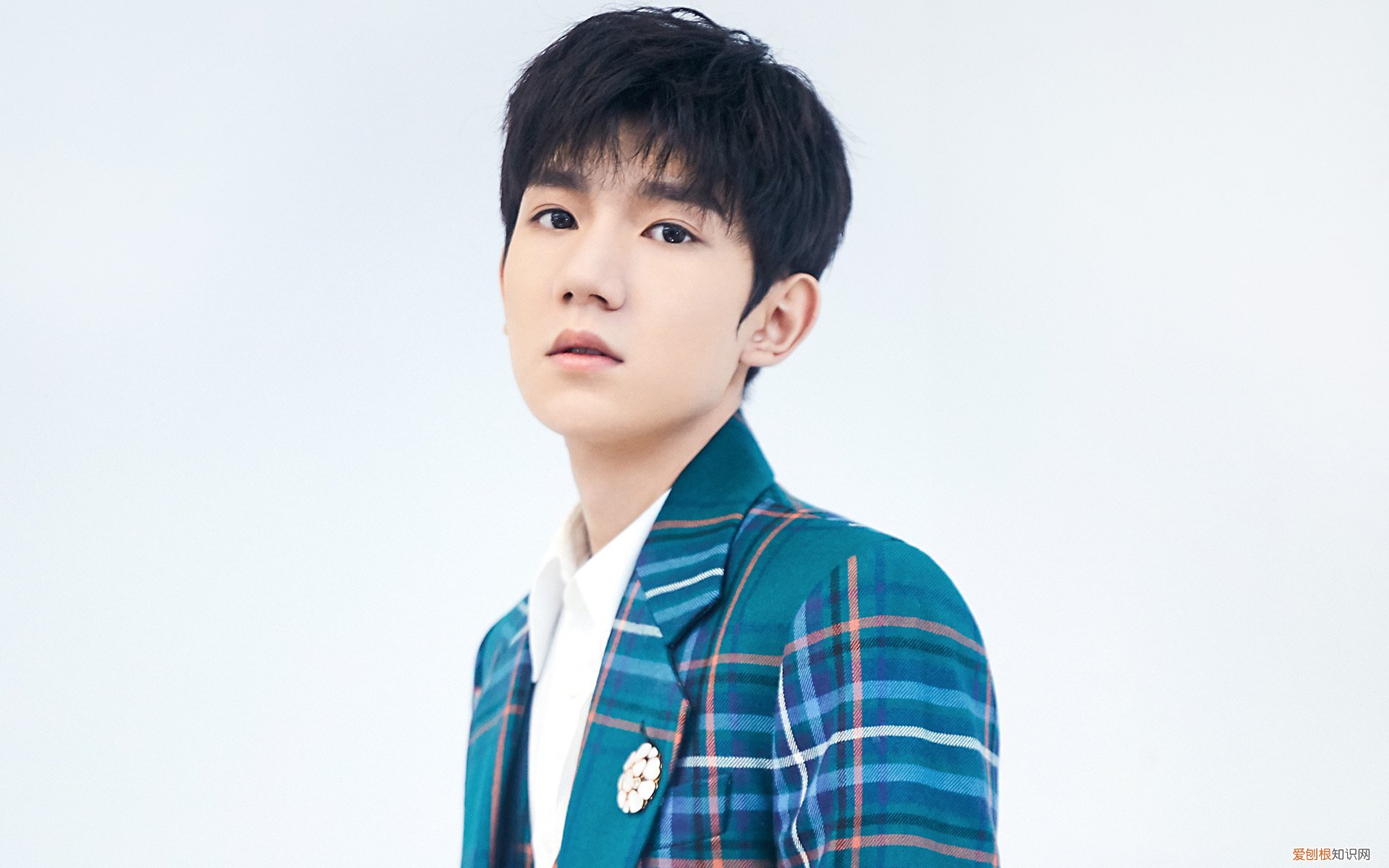 洋玩具是什么意思?洋玩具是什么意思?