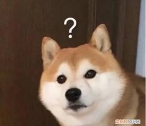 wifi4和wifi5和wifi6是什么