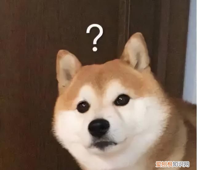 wifi4和wifi5和wifi6是什么