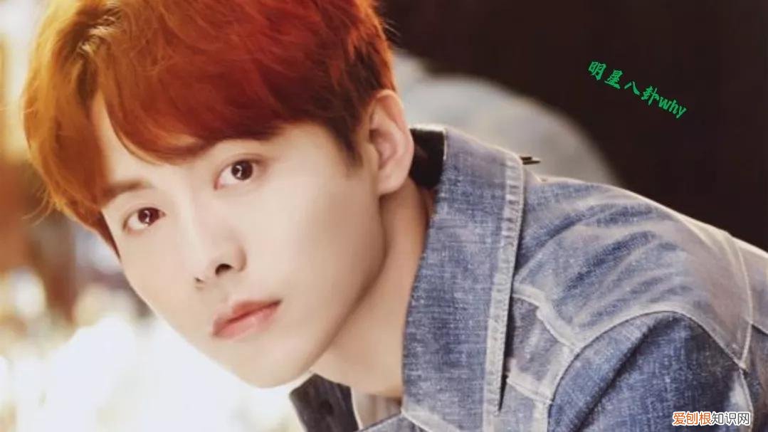 马天宇老婆叫什么名？附：马天宇的身世经历