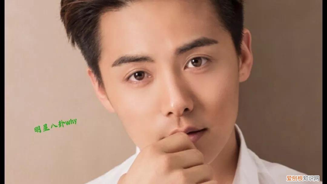 马天宇老婆叫什么名？附：马天宇的身世经历