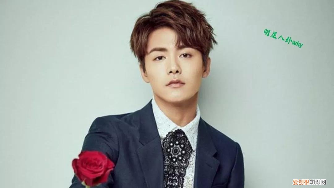 马天宇老婆叫什么名？附：马天宇的身世经历