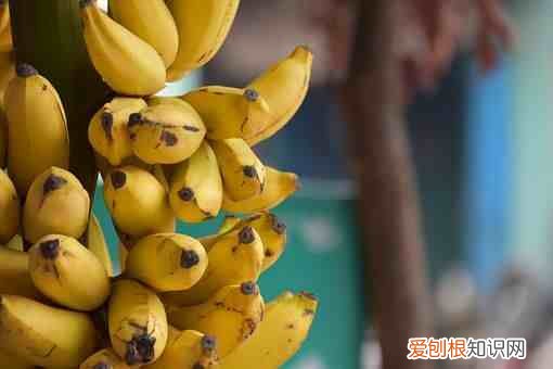 糖尿病人能吃什么水果 糖尿病吃什么水果最好