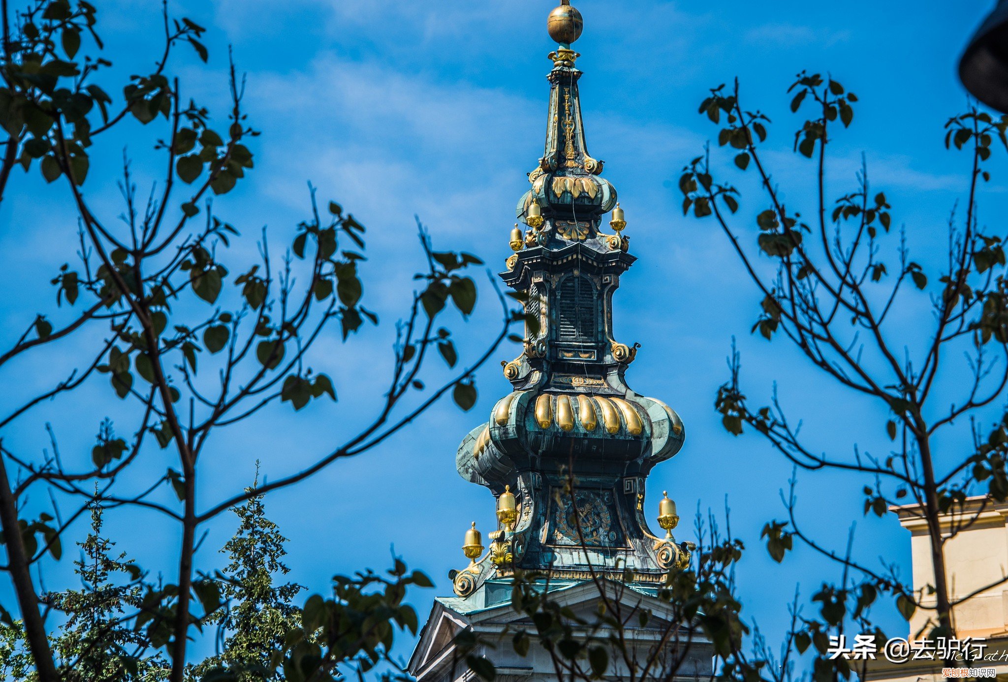 能够感受到宾至如归的尊重 塞尔维亚对华人态度