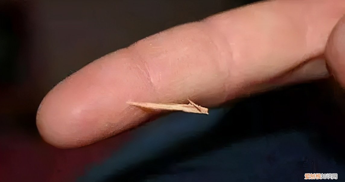 只得的拼音，只得读音为什么不是的