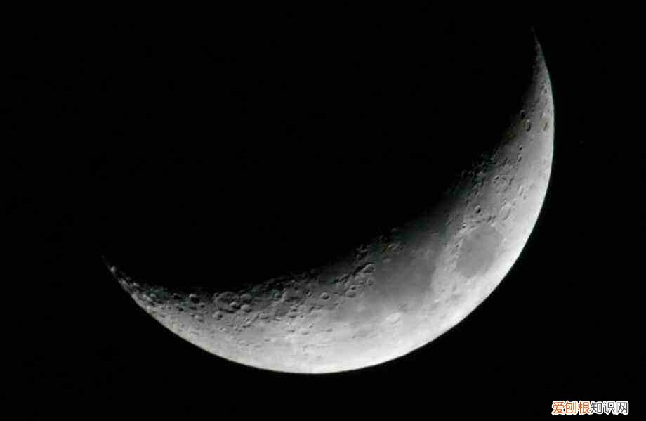 只得的拼音，只得读音为什么不是的