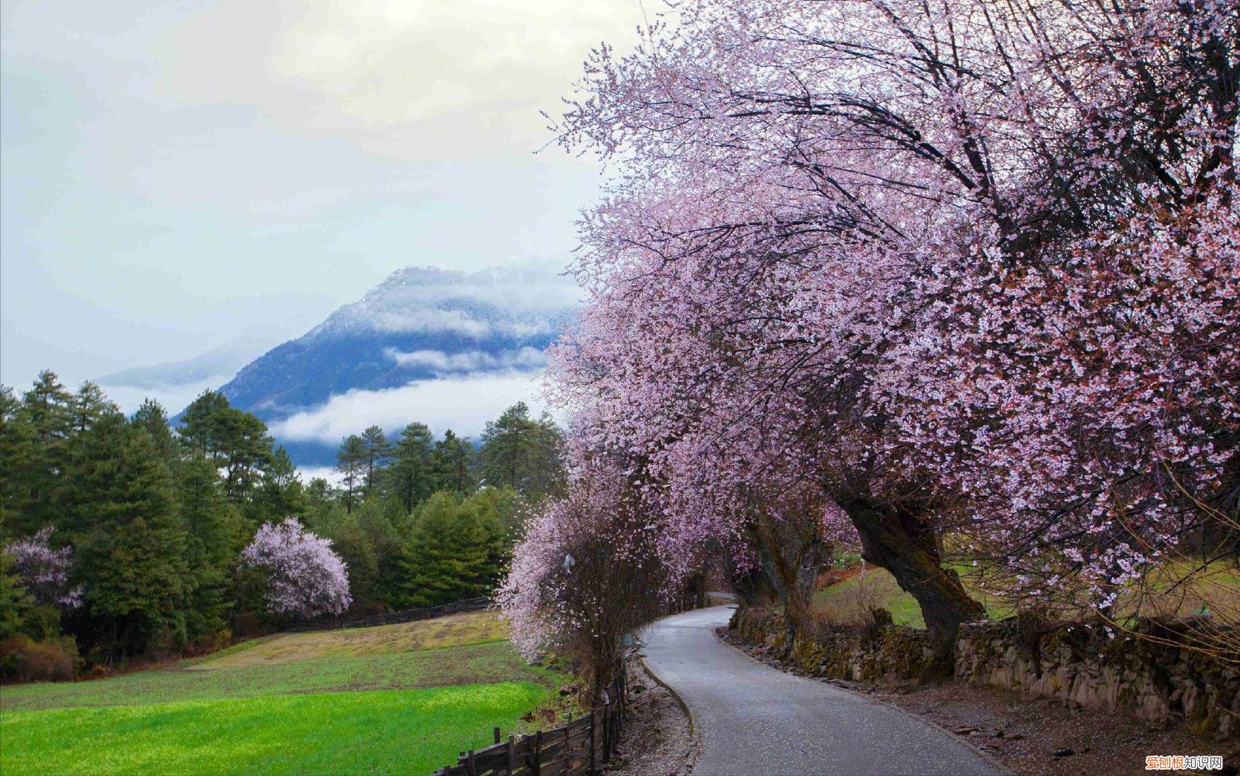桃花源记描绘的并非人间仙境？桃花源记的恐怖真相是什么