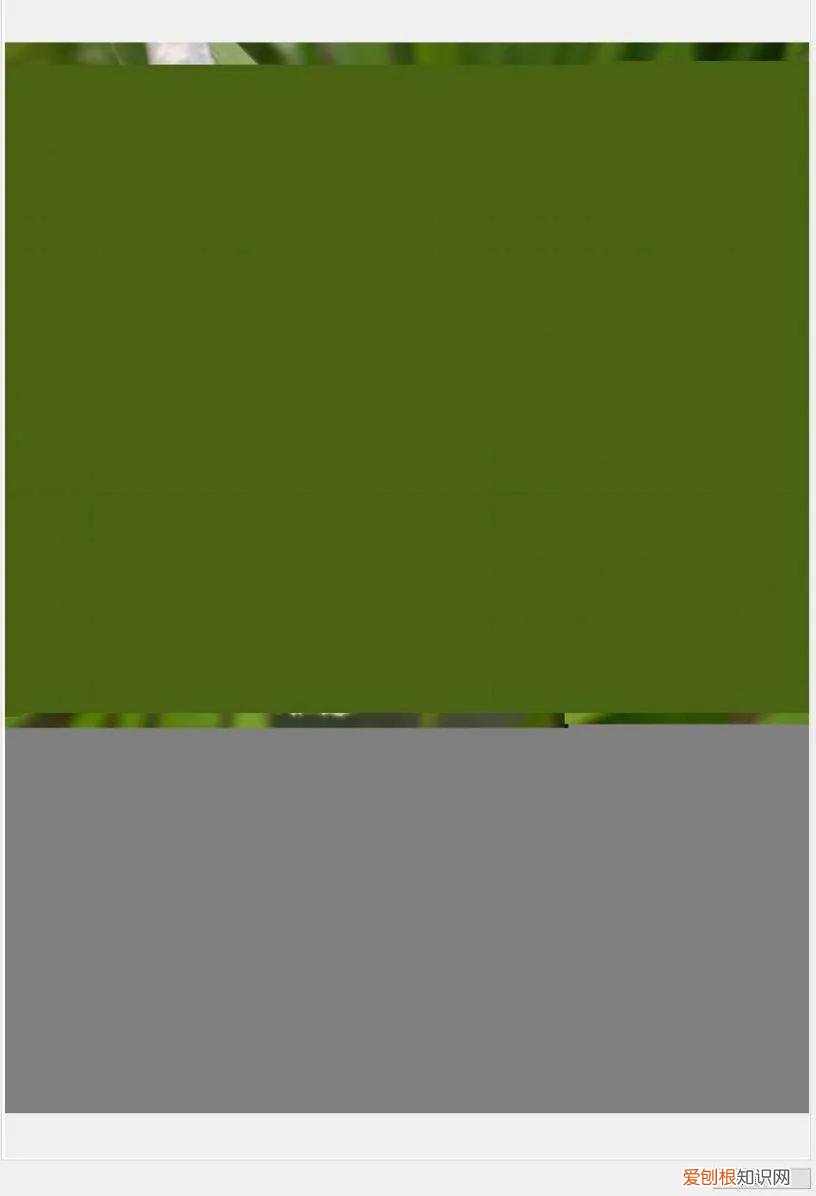 删除的数据恢复软件有免费的吗？这款数据恢复软件，免费还好用