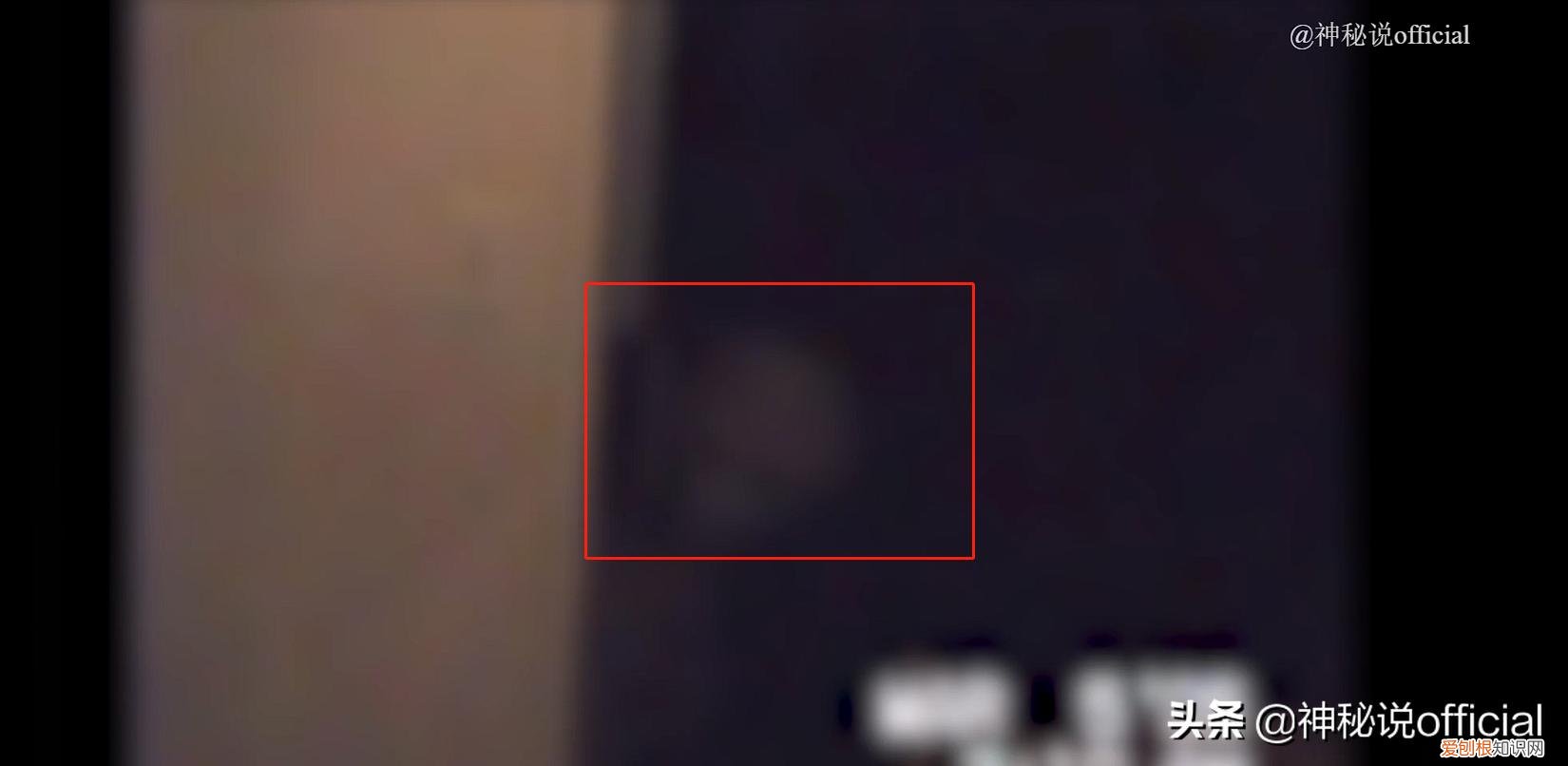 国外男子拍到外星人全貌？7个外星人真实图片