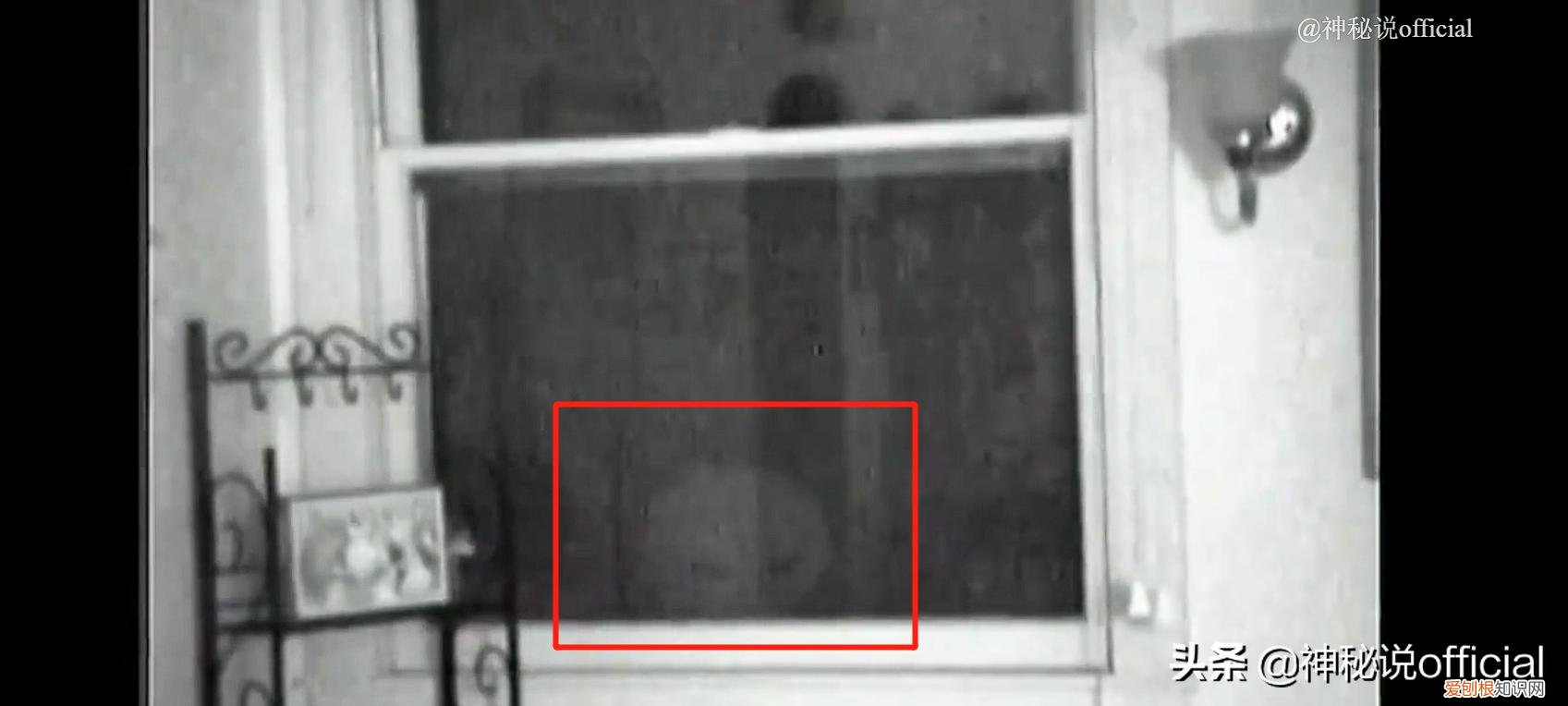 国外男子拍到外星人全貌？7个外星人真实图片