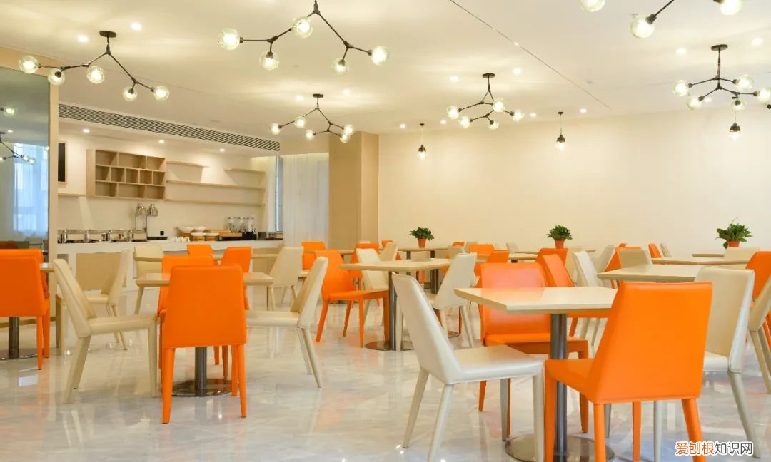 离我最近的减肥训练营，巅峰减重价目表