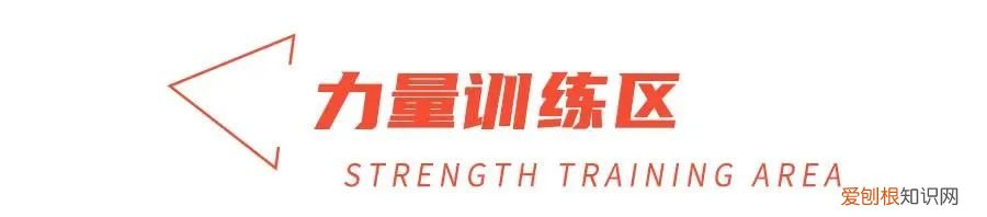 离我最近的减肥训练营，巅峰减重价目表