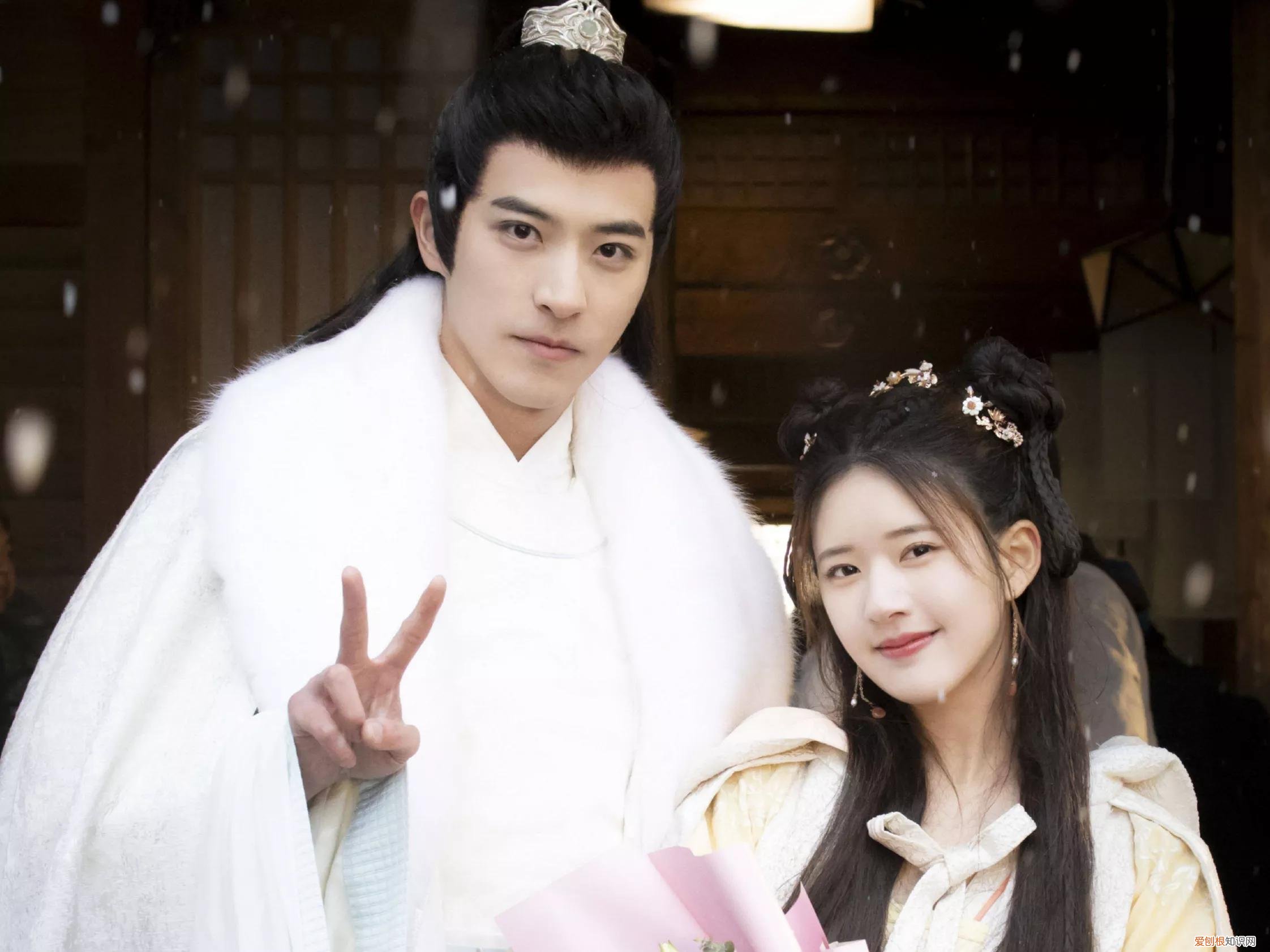 主演的10部剧，火了4部 赵露思演过的电视剧有哪些