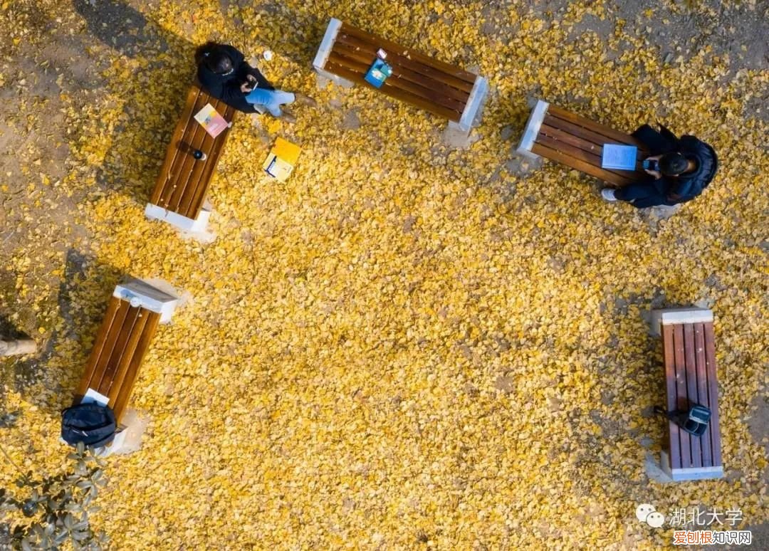 湖北大学属于重点大学吗，湖北大学怎么样是几本