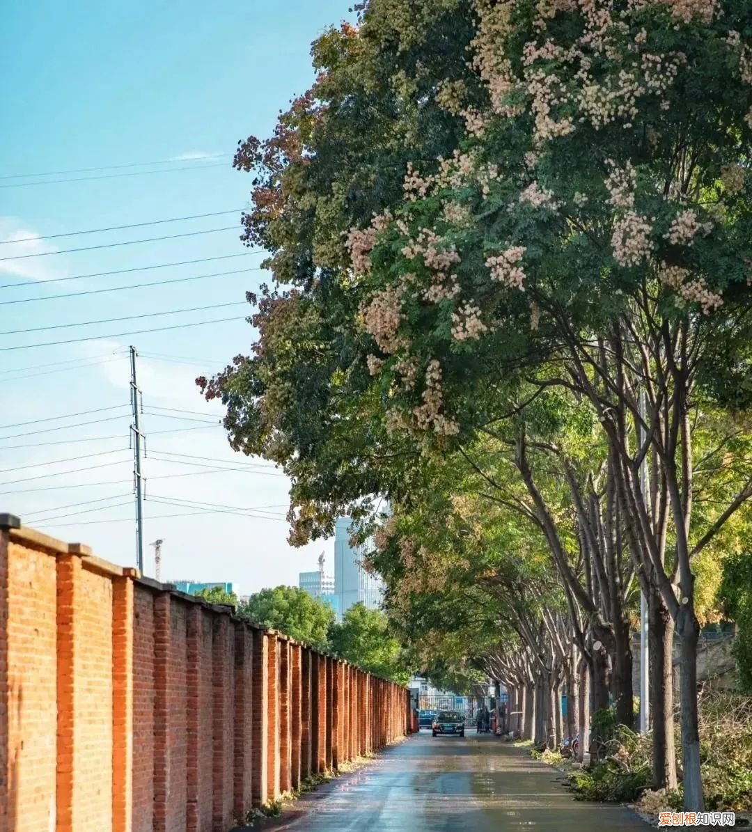 湖北大学属于重点大学吗，湖北大学怎么样是几本