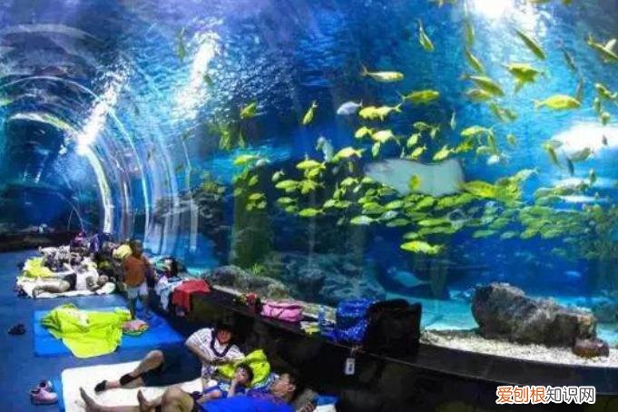 抚顺皇家极地海洋世界,抚顺极地海洋馆一日游