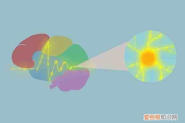 面瘫是怎么发生的 面瘫是什么原因引起的