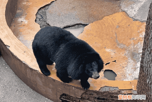 双十一想要入手iphone 14系列?这篇攻略不可错过吗