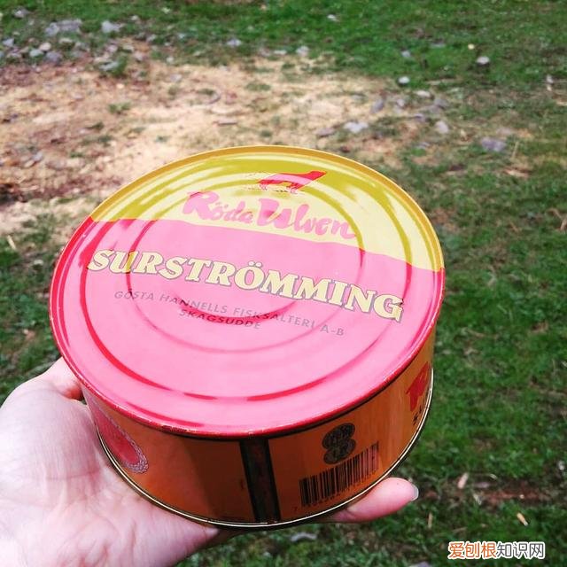 鲱鱼那么臭为什么要吃 鲱鱼罐头为什么这么臭,