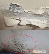 屋顶发霉怎么去除 屋顶发霉如何去除