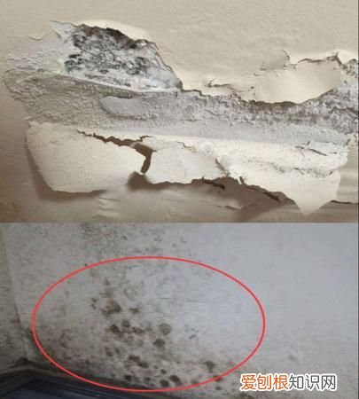 屋顶发霉怎么去除 屋顶发霉如何去除