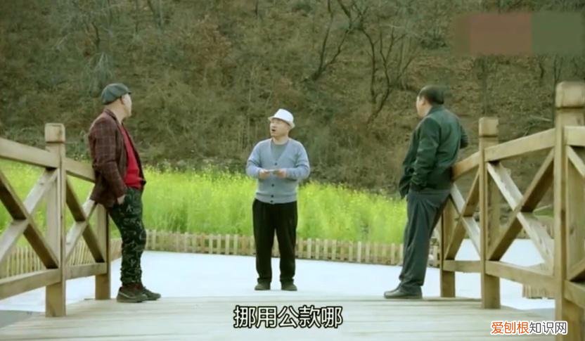 乡村爱情第二部王小蒙换人了吗 乡村爱情王小蒙为什么换人