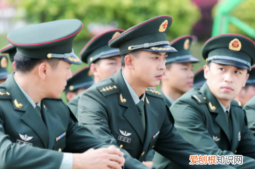 爱情公寓美嘉现状,爱情公寓美嘉现在的情况