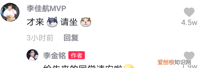 爱情公寓美嘉现状,爱情公寓美嘉现在的情况