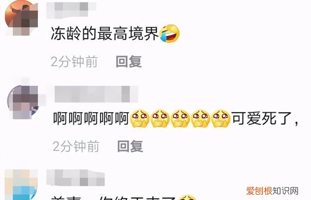 爱情公寓美嘉现状,爱情公寓美嘉现在的情况