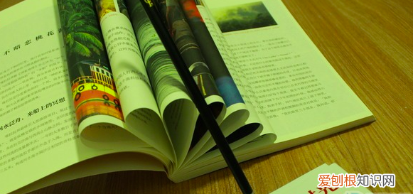 单细胞生物是指什么人，为什么说男人是单细胞动物