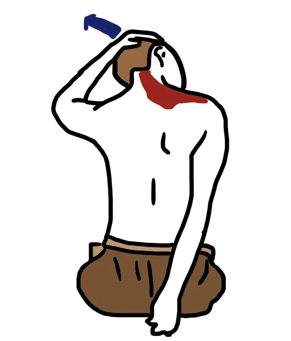 消除斜方肌最快的方法张子枫 消除斜方肌最快的方法