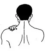 消除斜方肌最快的方法张子枫 消除斜方肌最快的方法