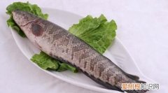 黑鱼适合什么人吃 黑鱼的营养价值