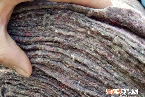 黑心棉用久了黑心棉会变黑 黑心棉是什么黑心棉怎么鉴别