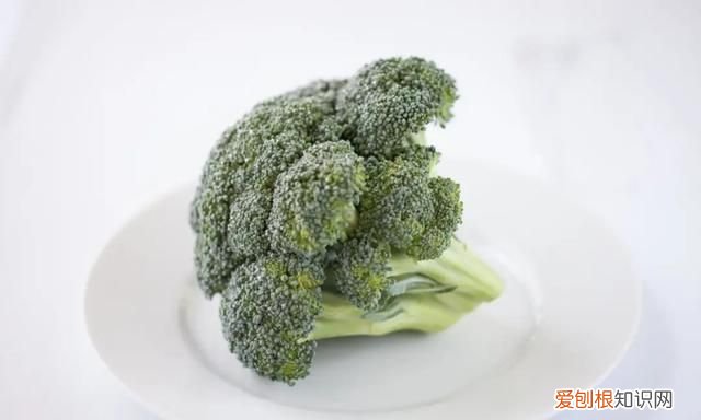 儿童能吃生蚝 儿童可以吃生蚝