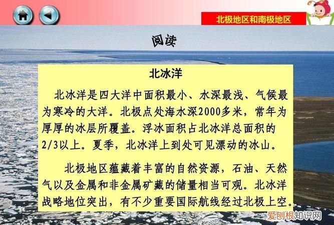 洋和北冰洋哪个面积小 洋和北冰洋的比较