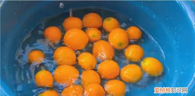 金桔苹果煮水做法 金桔苹果煮水怎么做