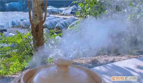 金桔苹果煮水做法 金桔苹果煮水怎么做