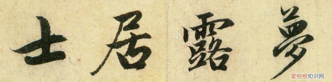 小龙女姓龙吗 小龙女为什么姓龙