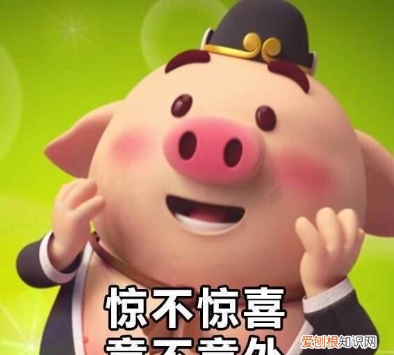 十二生肖哪个载入史册,十二生肖在我国的地位