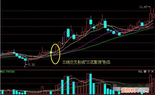 三花聚顶的是什么人 三花聚顶的人的面相