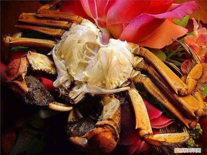 螃蟹不能跟这种食物一起吃 螃蟹不能和什么一起吃