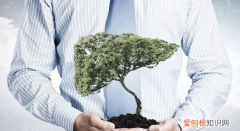 春天养肝怎么养 春天养肝应该怎么养