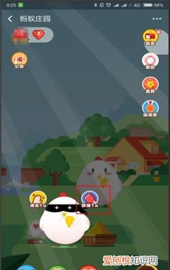 如何揍好友的小鸡仔，怎么在蚂蚁庄园揍别人的鸡