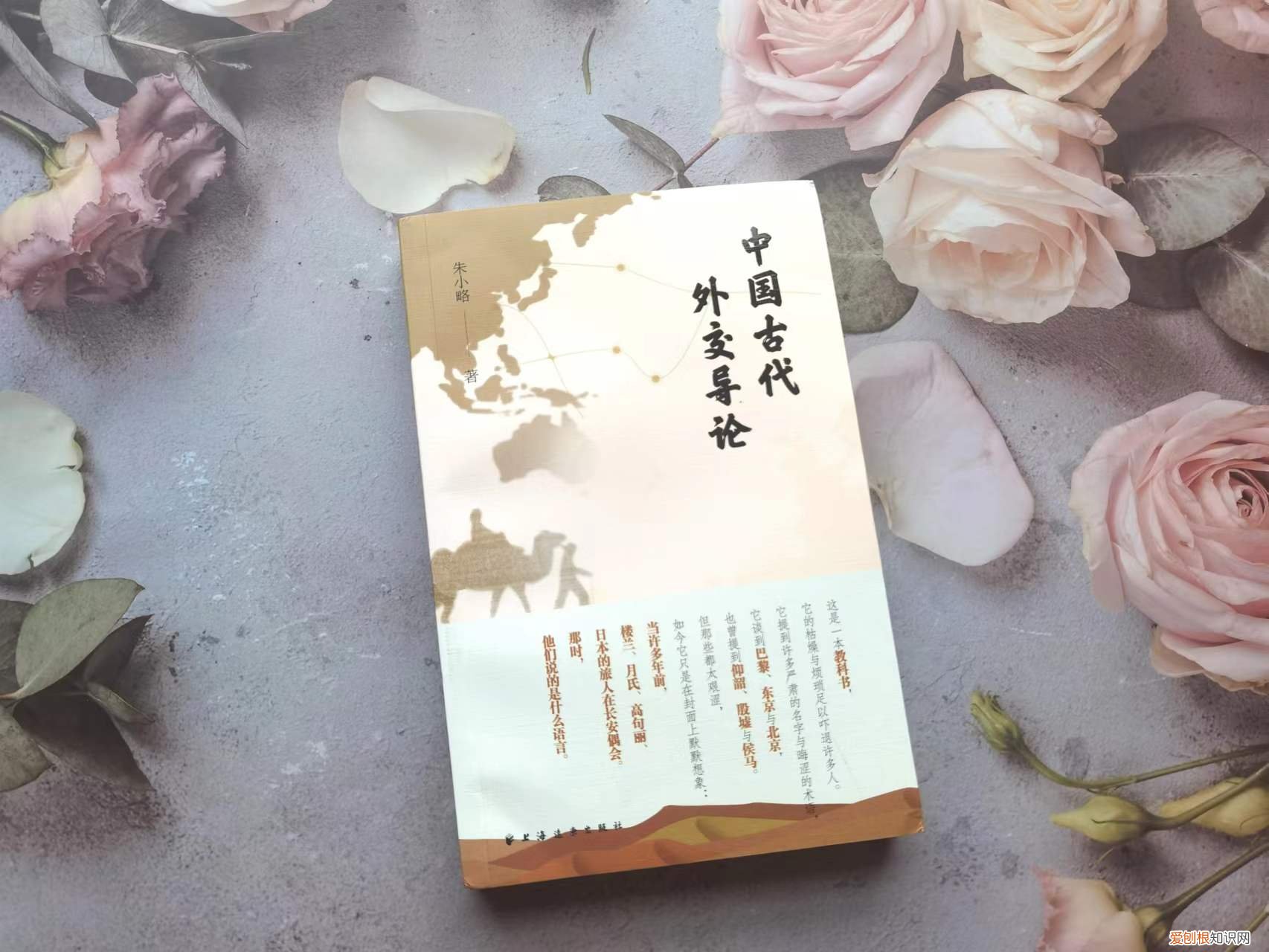 《中国古代外交导论》——对中国古代外交的感悟