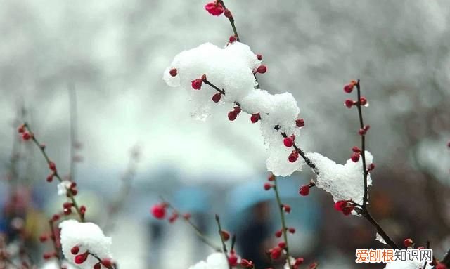 莫愁前路无知己 天下谁人不识君出自唐朝高适的诗