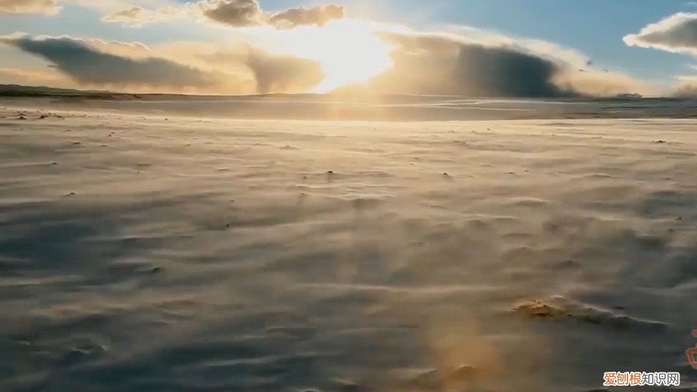 无人区真的那么乱吗 中国最可怕的无人区